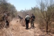 Horror en Nuevo León: contabilizan siete campos de exterminio del narco con más de 867,000 restos humanos