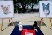 Detienen al sujeto que envenenó a los perritos rescatistas Athos y Tango