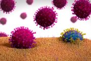 Mutaciones del coronavirus: ¿cómo será su evolución?