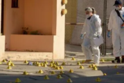 Reportan tiroteo con varios muertos y heridos en Plymouth, Reino Unido