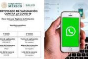 Certificado de vacunación COVID: así puedes descargarlo desde WhatsApp