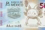 Banxico alista salida de Juárez y Morelos en nuevos billetes de 20 y 50 pesos