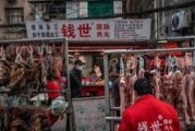 ¿China ‘esfumó’ a su vida silvestre para borrar la huella del origen del COVID?
