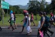 Suspenden a dos agentes por abusos contra caravana migrante en Chiapas
