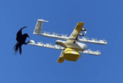 Google detiene entregas con drones tras ataques continuos de aves