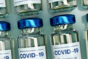 Pfizer prevé regreso a una 'vida normal' en un año gracias a la vacuna contra covid-19