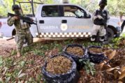 Guardia Nacional asegura droga en Tomatlán