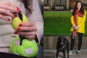 DogPhone: teléfono para perros ayuda a mascotas a llamar a sus dueños