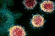 Estudio confirma la 'inmunidad innata' a la Covid-19; por eso algunas personas no se contagian 