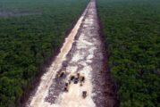 Un juez ordena la suspensión definitiva de las obras del polémico tramo 5 del Tren Maya 