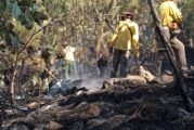 Talpa de Allende cumple mes y medio de incendios forestales