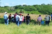 Imparten en Puerto Vallarta curso de capacitación a ganaderos