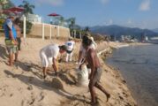 Comerciantes habilitan paso a la playa Holi