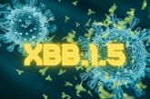 Kraken o XBB.1,5: síntomas y capacidad de contagio de la nueva variante de ómicron 