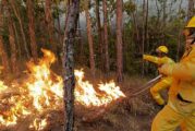 Casi una centena de brigadistas combaten incendio en Cabo Corrientes