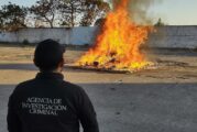 Incinera FGR diversas drogas aseguradas en Jalisco