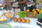 Con éxito se realizó el 5° Festival del Mango