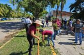 Trabajadores del Ayuntamiento se suman a la limpieza del municipio