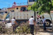 Otra intensa jornada de limpieza en Puerto Vallarta