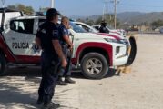 Garantizan autoridades la seguridad de vallartenses y visitantes
