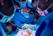Con novedosa técnica trasplantan riñón de cerdo a mujer al borde de la muerte