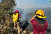 Bahía de Banderas alerta ante los riesgos de incendios forestales