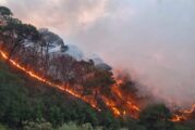 Incendio en Mascota acabó con 860 hectáreas y la vida de una persona