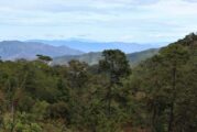 Inician planeación para la conservación de la Reserva de la Biosfera