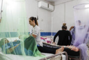 Se elevan a 342 los casos de dengue en la región