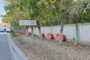 Empresa constructora de la Vía Corta donará 1 mdp y 5 mil árboles a Puerto Vallarta