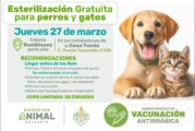 Invitan a Jornada de Esterilización Gratuita en Casa Tucán de Ramblases