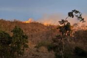 Extinguen incendios en Tomatlán; combaten dos en Cabo Corrientes