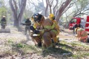Noventa incendios han afectado a Vallarta en la temporada