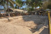 Gobierno municipal se prepara para la temporada de anidación de tortugas marinas