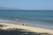 Realizarán nuevas pruebas de calidad del agua en playas contaminadas