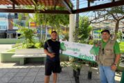 Más de 200 árboles adoptados en plazas públicas de Vallarta