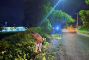 Avenida México más segura gracias a trabajos de limpieza