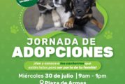 Anuncian Jornada de adopción en Plaza de Armas
