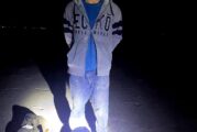 Detienen a hombre con 62 huevos de tortuga