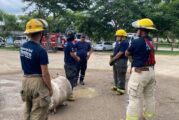Refuerzan capacitación en Protección Civil y Bomberos con prácticas especializadas