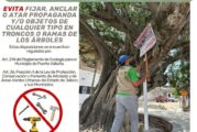 Gobierno del Bien retira publicidad en árboles de Vallarta