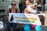 Bienestar Animal supera las 3 mil 300 esterilizaciones gratuitas