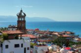 Puerto Vallarta avanza como destino pet friendly ante nueva realidad turística