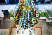 Brilla la Navidad en Seapal Vallarta con emotiva ceremonia de encendido