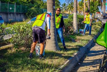 Alistan la Francisco Medina Ascencio para la temporada vacacional
