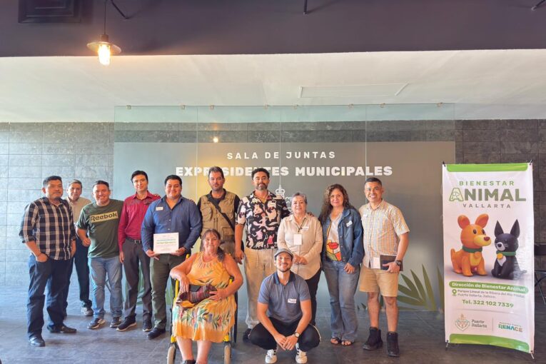 Avanza Gobierno del Bien en la actualización del Reglamento de Protección Animal en Vallarta