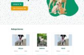 ¡Conoce la plataforma web de adopción animal del Gobierno del Bien!