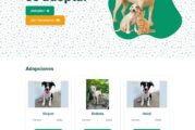 ¡Conoce la plataforma web de adopción animal del Gobierno del Bien!