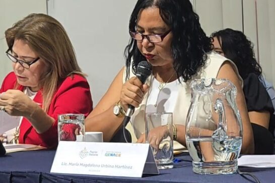 Aprueban iniciativa para tramitar permisos para campamentos tortugueros