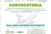Estudiantes de Puerto Vallarta mostrarán su talento en el concurso “Ballenas de Nuestro Puerto”